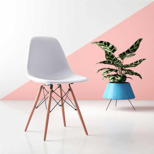 Scandinavian Moderne Chaise Solide, Bonnes affaires - Faites VITE !! Chrimendare