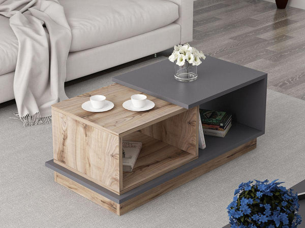 Table Basse CONCEPT - Chene et Gris - HomeDeco